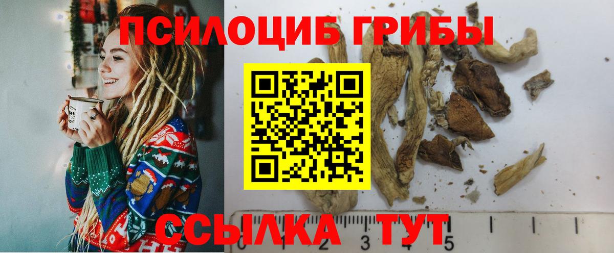 Железноводск  Галлюциногенные грибы GOLDEN TEACHER  Вход с VPN  Галлюциногенные грибы Psilocybine cubensis 