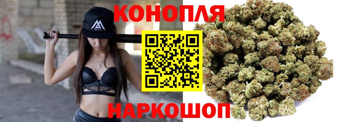 Канабис сатива Железноводск